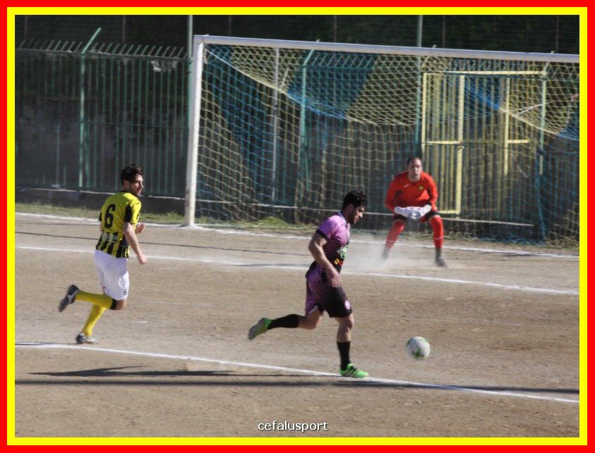 190310 Cephal_Torrenov 068_tn.jpg